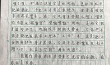 你是我的唯一作文