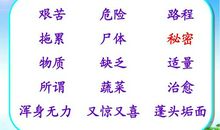 维生素C的故事读后感