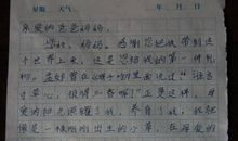 爸爸妈妈他不是我作文