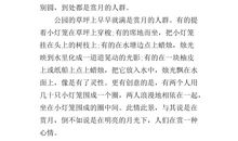 中秋之夜作文500字