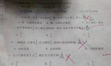 我学会了宽容500字