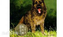 第七条猎犬读后感