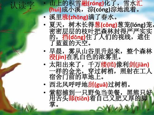 美丽的小兴安岭组成