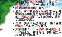 美丽的小兴安岭作文