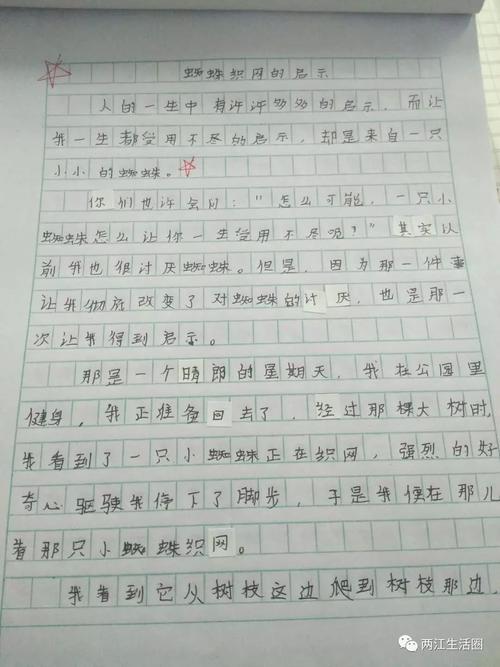 蜘蛛的启蒙构图