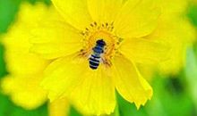 励志演讲稿：这一秒不失望，下一秒就有希望