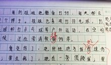 给我一个微笑作文600字