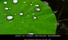 万物生长观后感