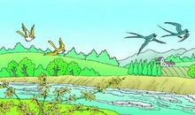 美丽的小河作文