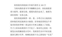 六年级写景作文