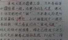 小学生写景作文大全