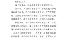 蚂蚁的启示作文开头