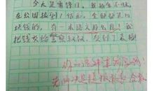 难忘的决定作文