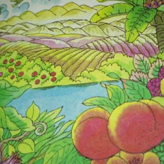 去打开绿色的自然教科书