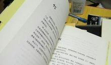 木屋下的守护者读后感