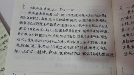 红岩的450字