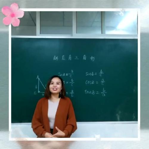 我的初中数学老师