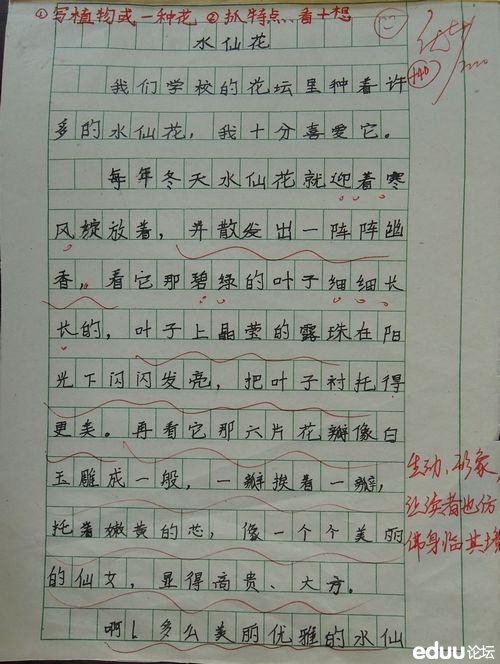我尝到了成功的喜悦。作文300字