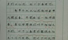 我品尝到了成功的喜悦作文300字