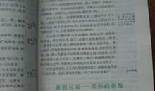 描写春雨的作文300字