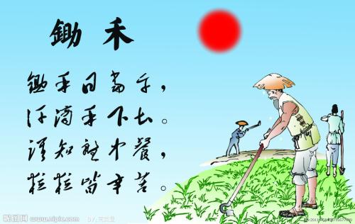 看完闽农的故事