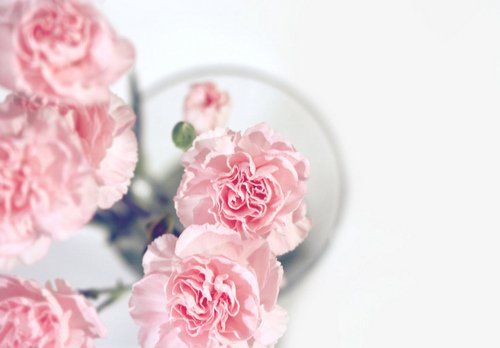 经典语录：不要嘲笑别人的伤疤，这只是您从未经历过的伤害