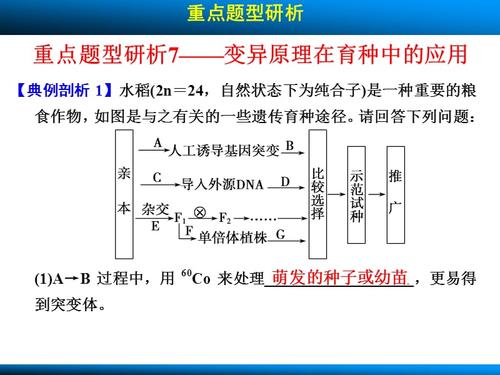 2014年高考满分作文安徽试卷：色彩艳丽来自“特殊结构”