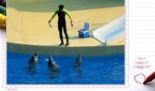 海豚的故事读后感