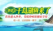 独一无二的松子 ──写给毕业班同学