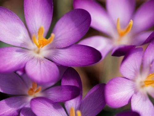 我改变了生活的色彩