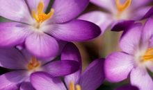 我改变了生命的色彩