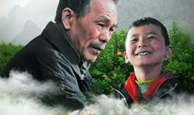 桔子的天空读后感