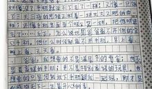 爸爸的秘密作文