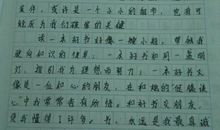 关于我和书的作文