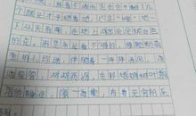 描写闪电的作文