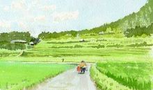 我学会了宽容400字