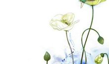 2014年高考满分作文山东卷：风景自在人心