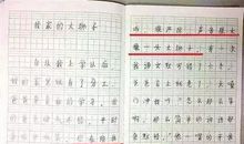 严厉的爸爸作文