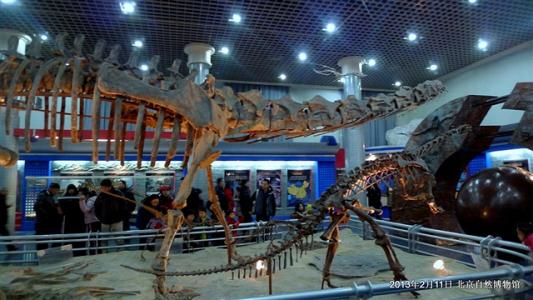 关于自然博物馆的思考