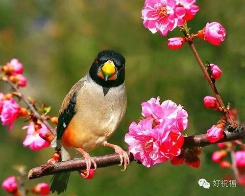 经典语录：信不信由你