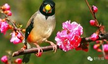 经典语录：信与不信，就在你一念之间