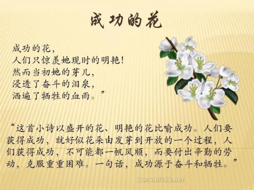 冰心的成功阅读