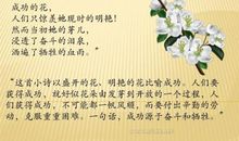冰心成功的花读后感