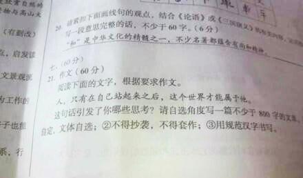 2013年高考全科作文江苏试卷：《一石》激起千浪