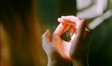 成长中我学会了宽容