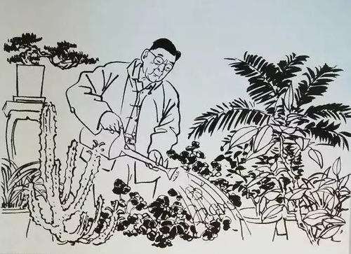 老舍养花的思想