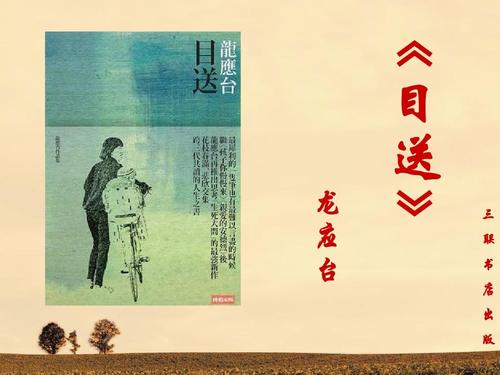 龙应台阅读后的思想