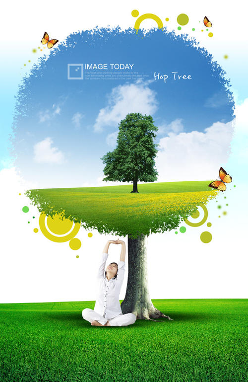 飞翔的绿色梦想组成