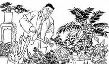 老舍的作品读后感