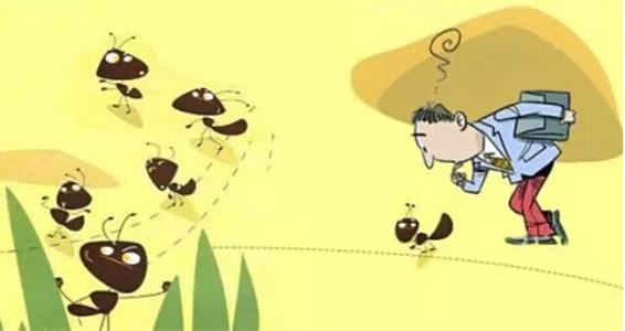 蚂蚁搬运食物的启示组成